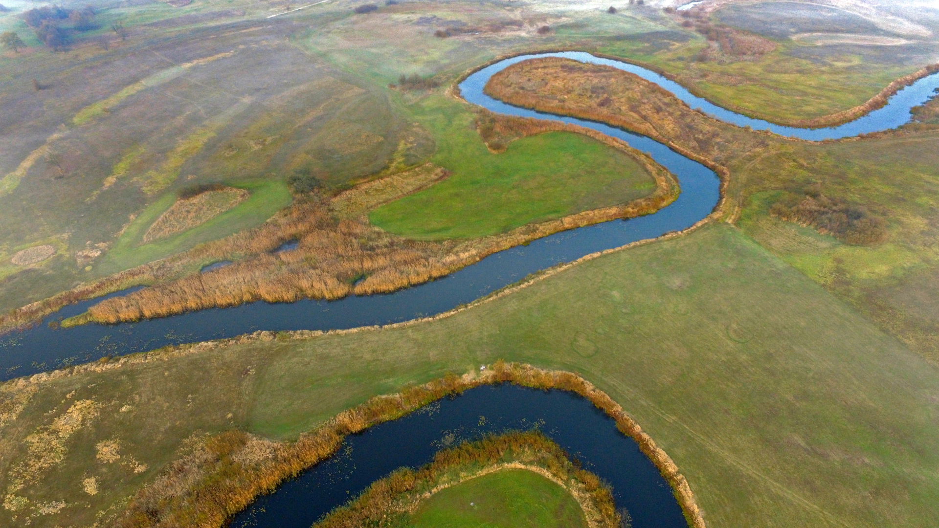 Meandry Biebrzy, fot. Piotr Dombrowski