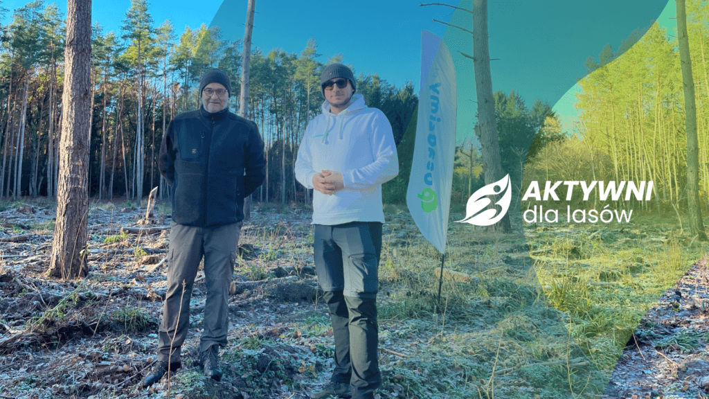 Tak sadzimy drzewa zdobyte w Aktywni dla Lasów. Zobacz akcje sadzenia 2025