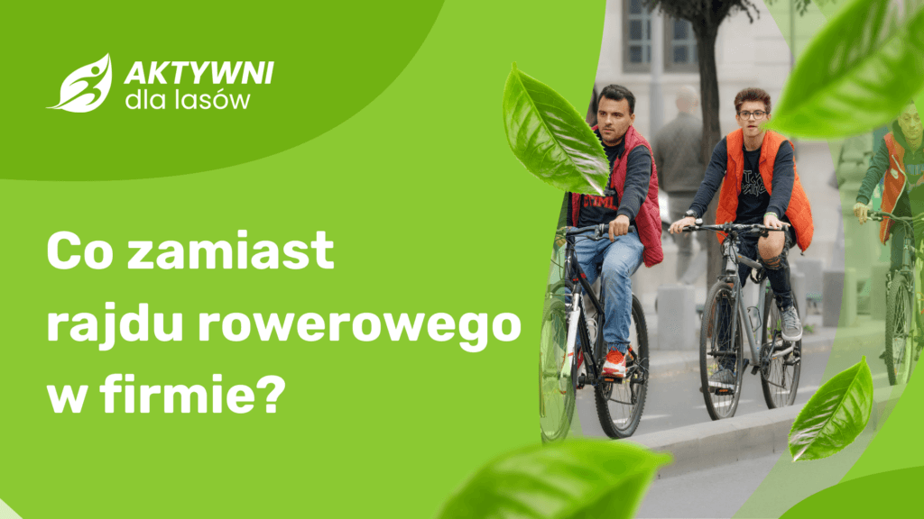firmowe rajdy rowerowe