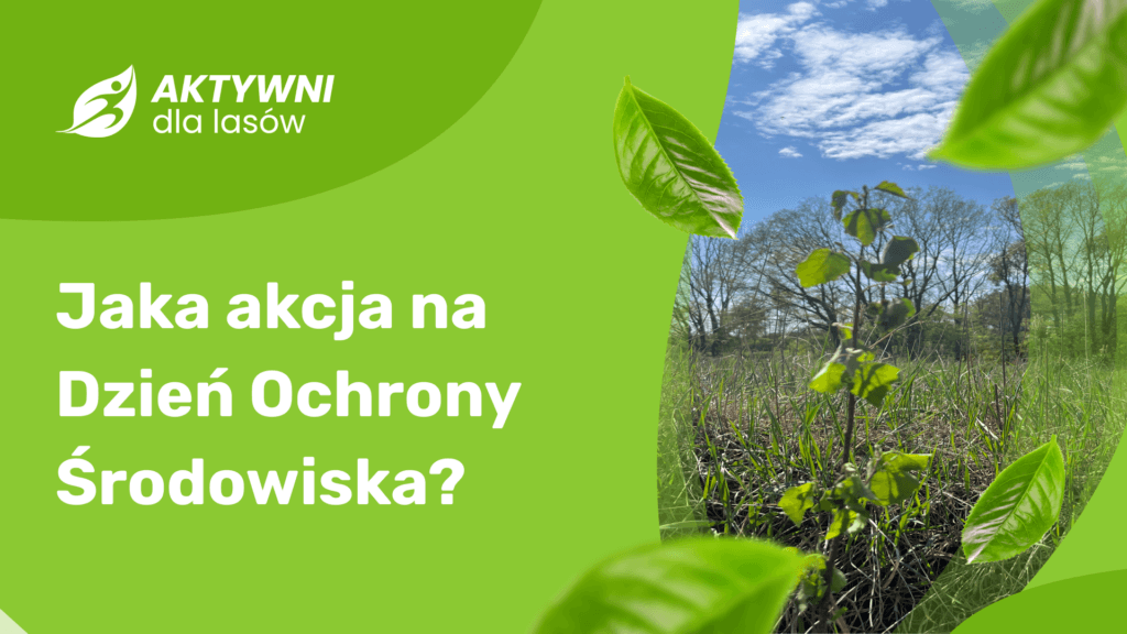 Dzień Ochrony Środowiska