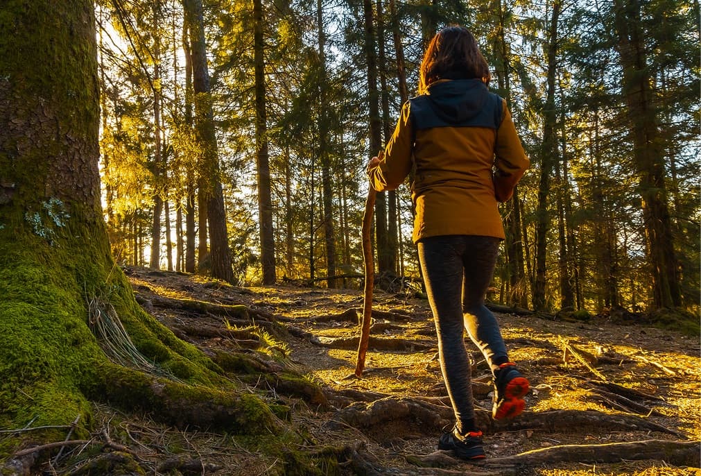 Dlaczego aktywność fizyczna jest ważna